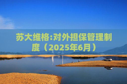 苏大维格:对外担保管理制度（2025年6月）