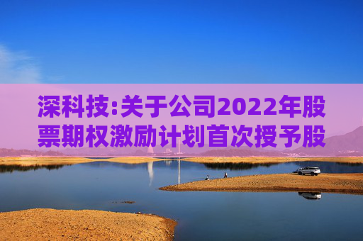 深科技:关于公司2022年股票期权激励计划首次授予股票期权第一个行权期行权条件成就的公告  第1张