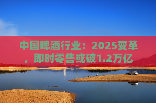 中国啤酒行业：2025变革，即时零售或破1.2万亿  第1张