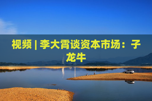 视频 | 李大霄谈资本市场：子龙牛  第1张