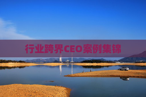 行业跨界CEO案例集锦  第1张