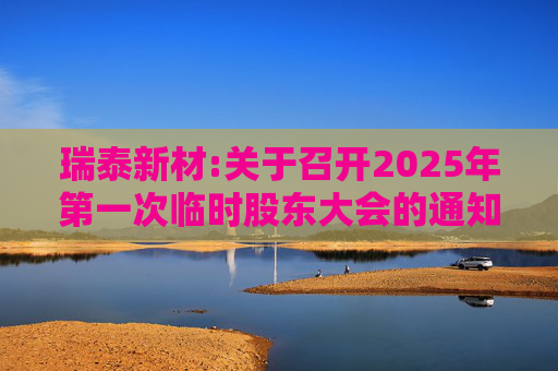 瑞泰新材:关于召开2025年第一次临时股东大会的通知