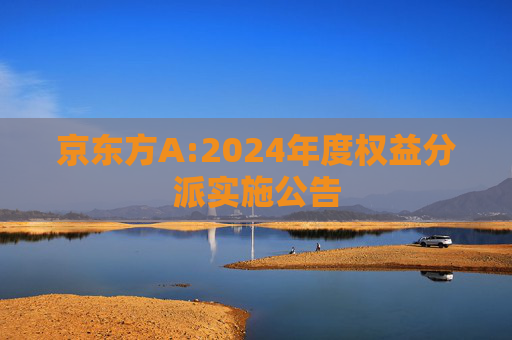 京东方A:2024年度权益分派实施公告