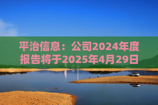 平治信息:公司2024年度报告将于2025年4月29日披露