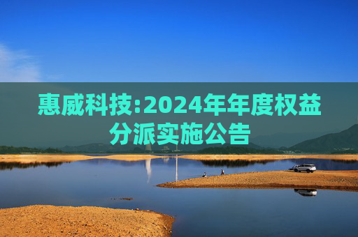 惠威科技:2024年年度权益分派实施公告  第1张