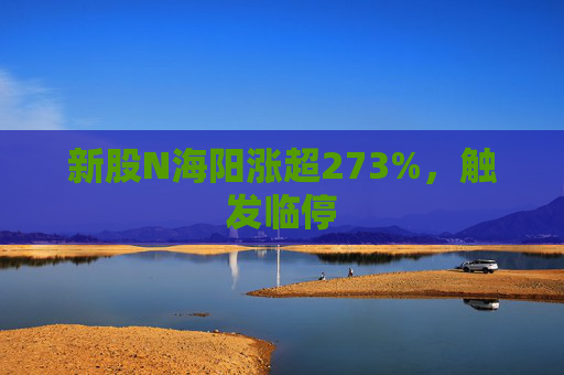 新股N海阳涨超273%，触发临停