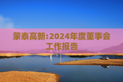 蒙泰高新:2024年度董事会工作报告  第1张