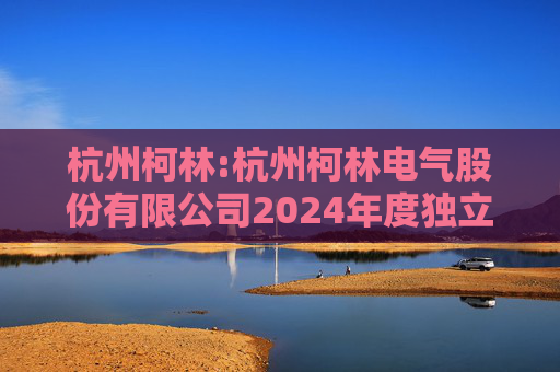 杭州柯林:杭州柯林电气股份有限公司2024年度独立董事述职报告(毛卫民)
