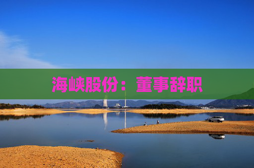 海峡股份：董事辞职  第1张