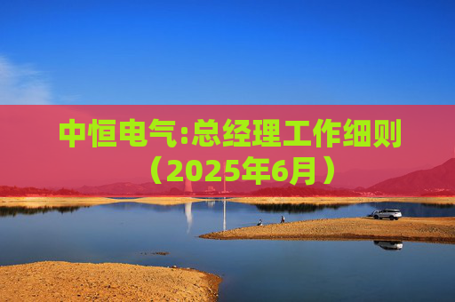 中恒电气:总经理工作细则（2025年6月）