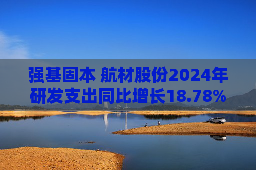 强基固本 航材股份2024年研发支出同比增长18.78%  第1张
