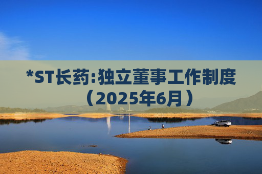 *ST长药:独立董事工作制度(2025年6月)