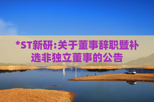 *ST新研:关于董事辞职暨补选非独立董事的公告