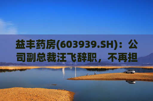 益丰药房(603939.SH)：公司副总裁汪飞辞职，不再担任公司其他职务  第1张