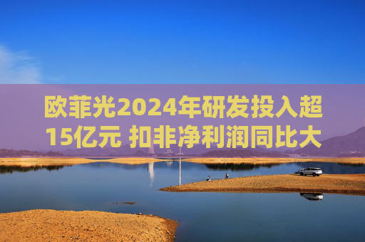 欧菲光2024年研发投入超15亿元 扣非净利润同比大幅减亏 第1张 欧菲光2024年研发投入超15亿元 扣非净利润同比大幅减亏 第1张
