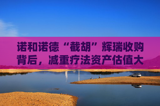 诺和诺德“截胡”辉瑞收购背后，减重疗法资产估值大爆发