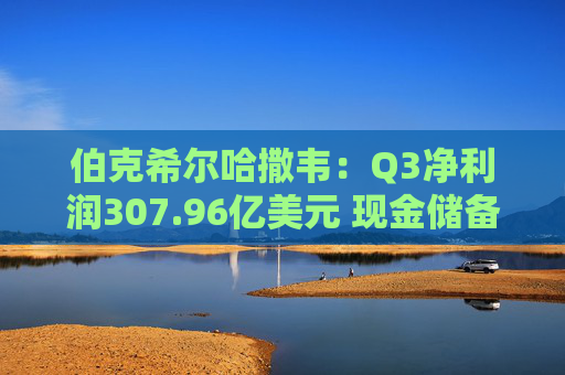 伯克希尔哈撒韦:Q3净利润307.96亿美元 现金储备达3816.7亿美元