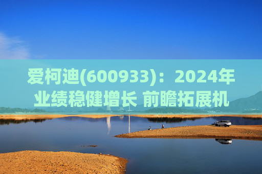 爱柯迪(600933)：2024年业绩稳健增长 前瞻拓展机器人相关业务  第1张