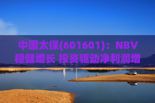 中国太保(601601)：NBV稳健增长 投资驱动净利润增速提升