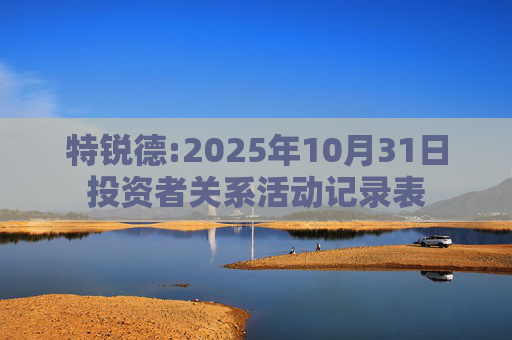 特锐德:2025年10月31日投资者关系活动记录表