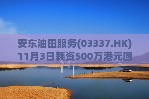 安东油田服务(03337.HK)11月3日耗资500万港元回购472万股