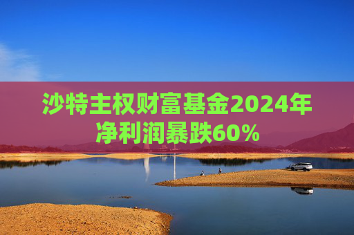 沙特主权财富基金2024年净利润暴跌60%