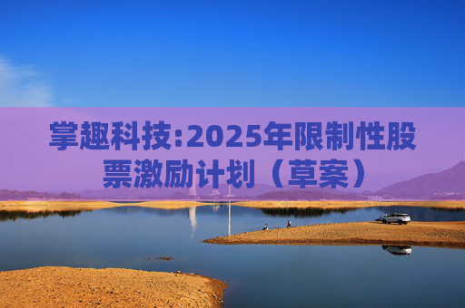 掌趣科技:2025年限制性股票激励计划（草案）