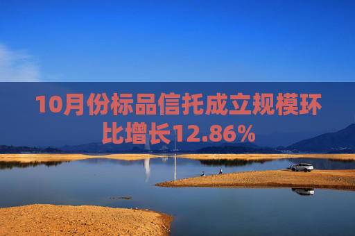 10月份标品信托成立规模环比增长12.86%  第1张