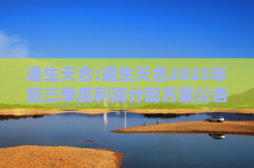 道生天合:道生天合2025年前三季度利润分配方案公告