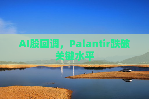 AI股回调,Palantir跌破关键水平
