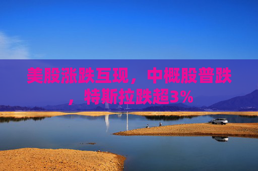 美股涨跌互现，中概股普跌，特斯拉跌超3%