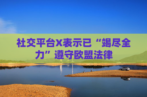 社交平台X表示已“竭尽全力”遵守欧盟法律