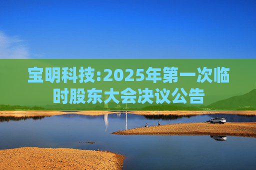宝明科技:2025年第一次临时股东大会决议公告