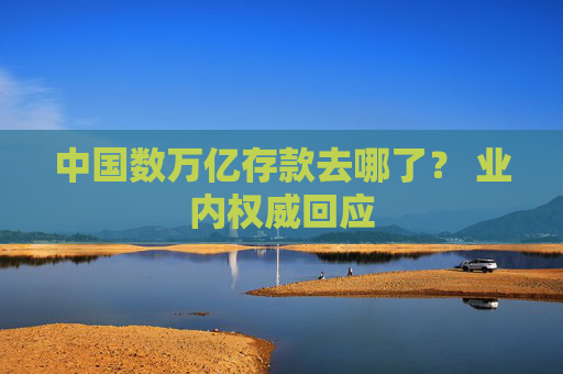 中国数万亿存款去哪了? 业内权威回应