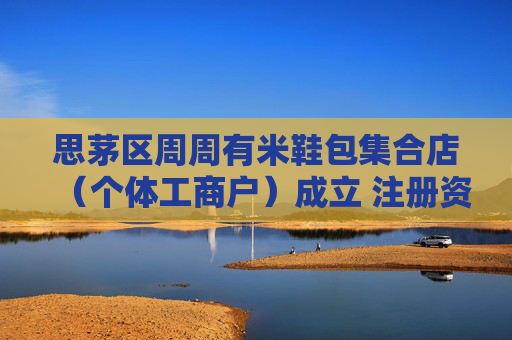思茅区周周有米鞋包集合店（个体工商户）成立 注册资本4万人民币  第1张