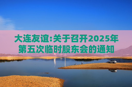 大连友谊:关于召开2025年第五次临时股东会的通知