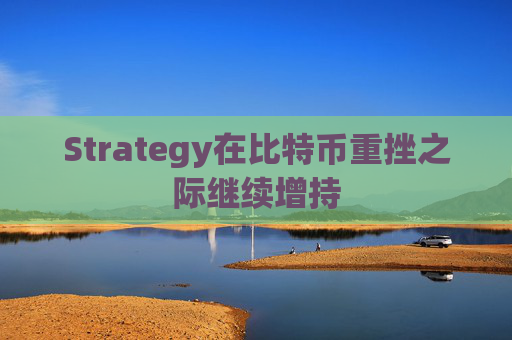 Strategy在比特币重挫之际继续增持