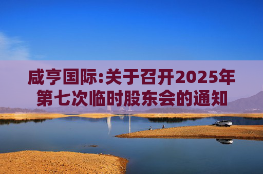 咸亨国际:关于召开2025年第七次临时股东会的通知