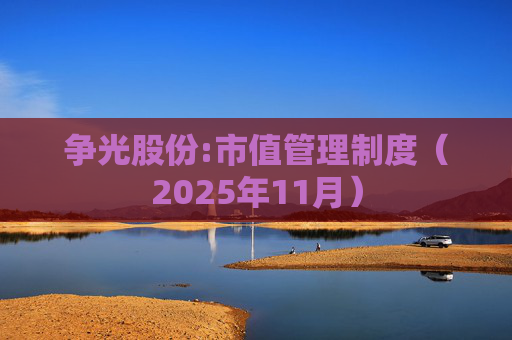 争光股份:市值管理制度（2025年11月）