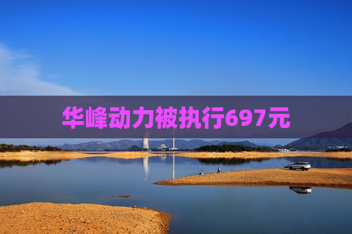 华峰动力被执行697元  第1张