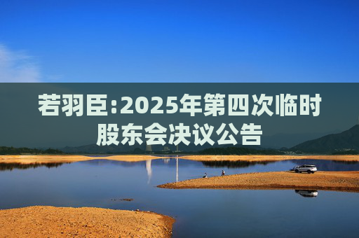 若羽臣:2025年第四次临时股东会决议公告