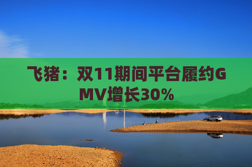 飞猪：双11期间平台履约GMV增长30%