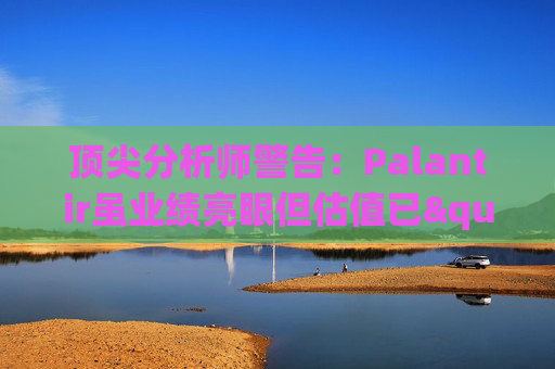 顶尖分析师警告：Palantir虽业绩亮眼但估值已"趋于完美"
