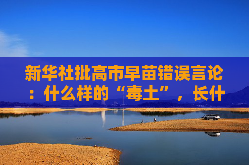 新华社批高市早苗错误言论：什么样的“毒土”，长什么样的“毒苗”