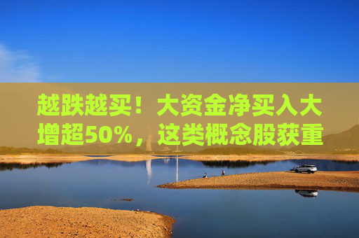 越跌越买！大资金净买入大增超50%，这类概念股获重点关注