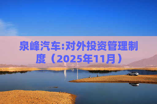 泉峰汽车:对外投资管理制度(2025年11月)