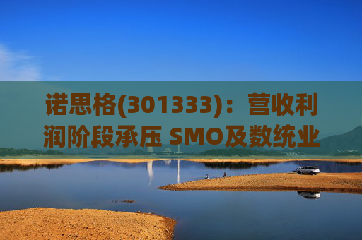 诺思格(301333)：营收利润阶段承压 SMO及数统业务保持稳健增长  第1张
