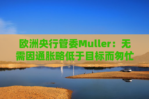 欧洲央行管委Muller:无需因通胀略低于目标而匆忙降息