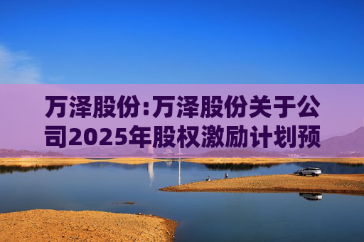 万泽股份:万泽股份关于公司2025年股权激励计划预留授予限制性股票登记完成的公告