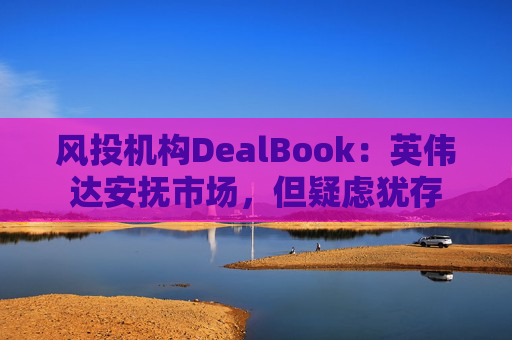 风投机构DealBook：英伟达安抚市场，但疑虑犹存